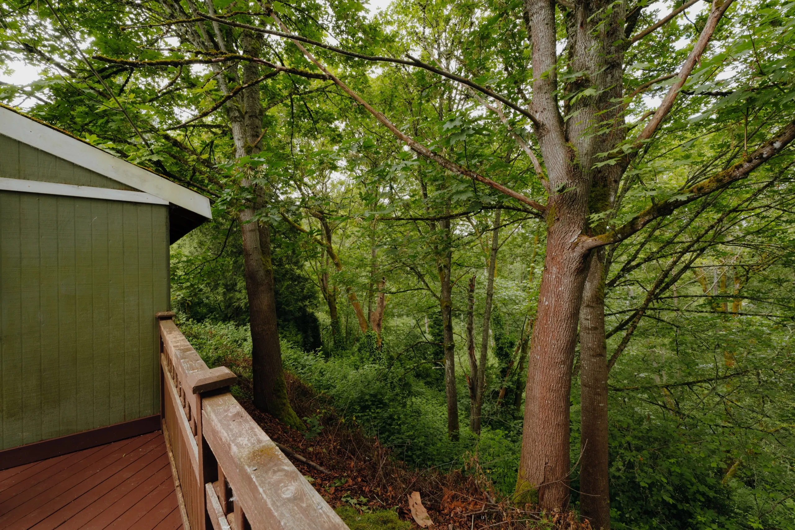 Deck & greenbelt photo 3